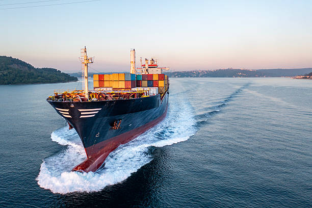 International Trade & Procurement