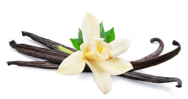 Premium Tanzanian vanilla beans