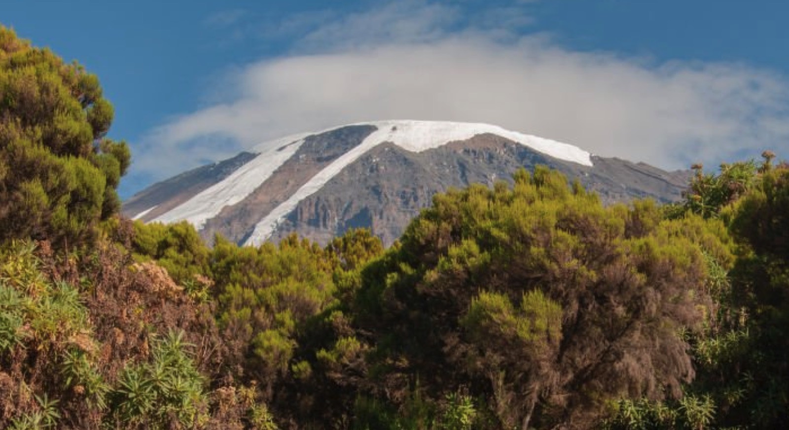 Mountain Trekking